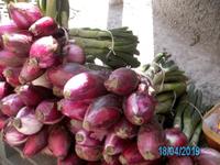 Rote Zwiebeln - Spezialität von Tropea