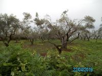 Wanderung Lago Angítola