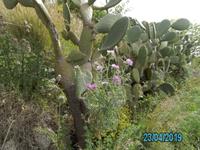 Wanderung Monte Poro