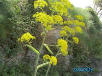 Wanderung Monte Poro