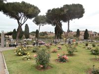 Roseto Di Roma Rosengarten