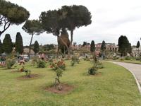 Roseto Di Roma Rosengarten
