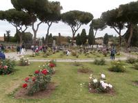 Roseto Di Roma Rosengarten