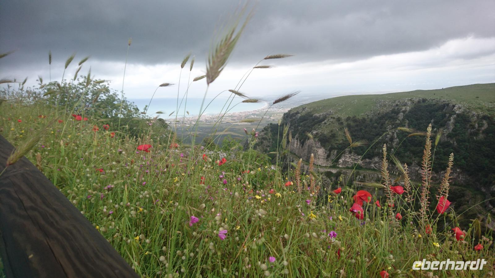 Üppige Vegetation des Gargano