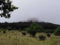 Da kann man es erahnen