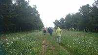 Unsere mutige Truppe im Regen, Wandern zum Castell del Monte