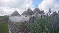 Modernisierte Trulli