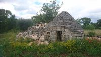 Ein alter verfallener Trullo, bei dem noch kein Mörtel verwendet wurde, nur die trockenen Steine