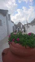 Hof, Alberobello
