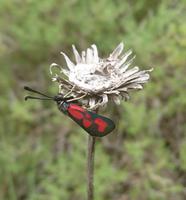 Die Details mußte man aufspüren