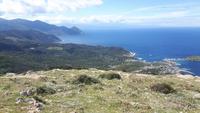 Cap Corse (Blick auf Port de Centuri)