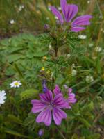 028_14.05.2019 in Paestum