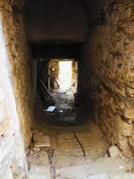 036_15.05.2019 Cannicchio