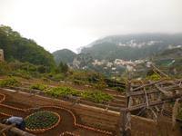 086_18.05.2019 Ravello