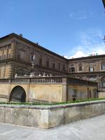 Palazzo Pitti von den Boboli Gärten