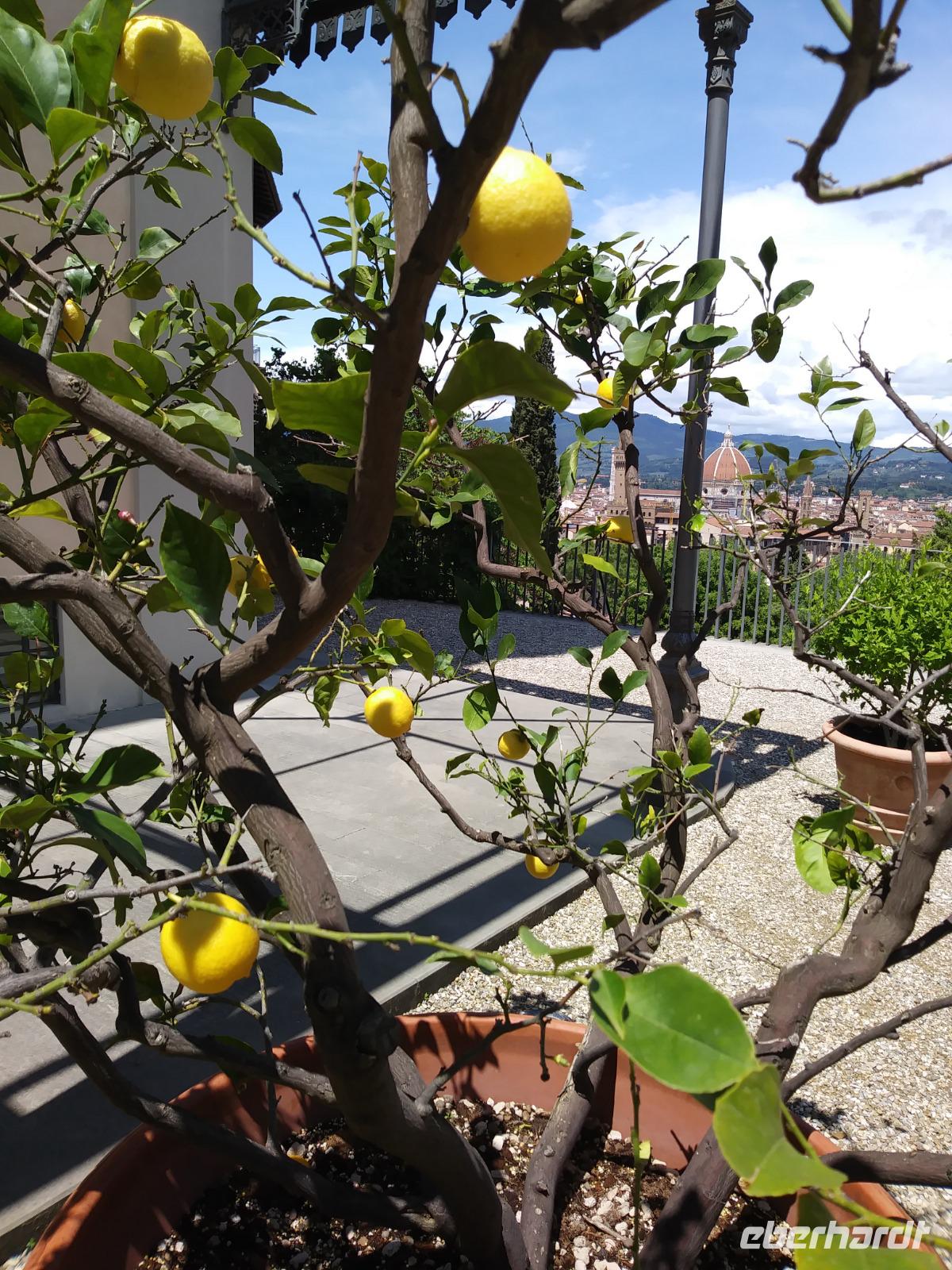Bardini Garten:Blick auf Florenz