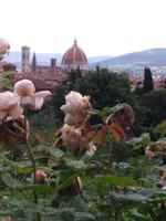 Rosengarten: Blick auf Dom und Glockenturm