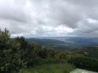 In den Bergen bei Orgosolo