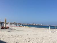 Alghero Strand und Altstadt im Hintergrund