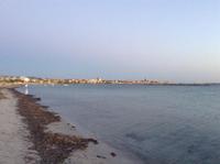 Blick zur Altstadt von Alghero am Abend