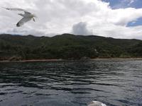 Bootsfahrt entlang der 