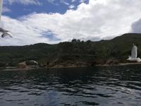 Bootsfahrt entlang der 