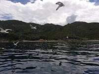 Bootsfahrt entlang der 