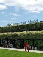 Jasmin Bepflanzung mit himmlischem Duft am gesamten Flughafen von Pisa