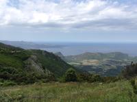 Blick über die Weinberge