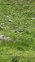 177 – Italien, Trentino, Adamello-Brenta