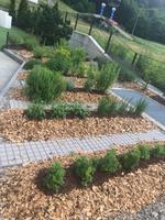 Kräutergarten am Hotel