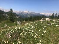 Es fällt schwer weiter zu gehen