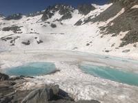 Zwischenstation Soldanella