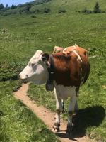 ich überlege es mir