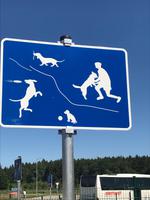 Was es alles gibt...