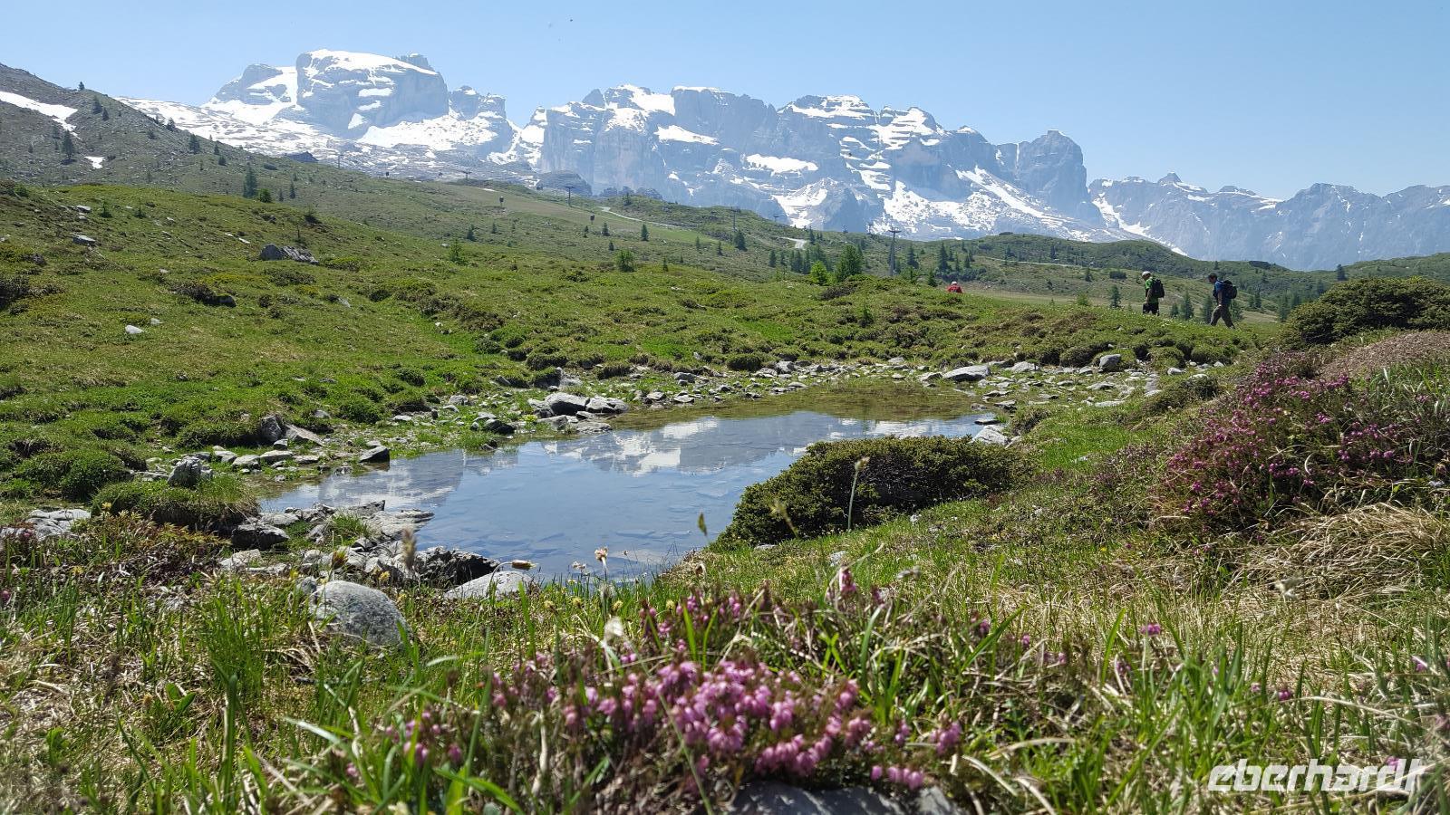 Adamello Brenta Gruppe