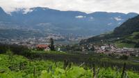 Blick auf Meran