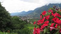 Blick auf Meran