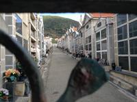 Blick hinter das Friedhofstor