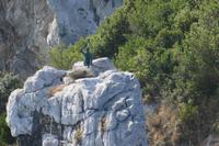 Inselrundfahrt Capri