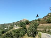 Blick auf St. Antonino