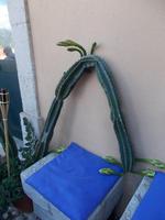 DSCN4549 bitte Platz nehmen