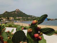 Cannigione - kleiner strand