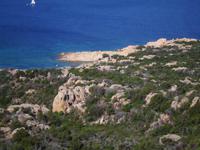 Fantasie - ein Vogel ?