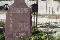 P9190011, Tonara-Torroneverkostung