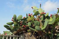 P9210108, Arbatax, Strand Porto Frailis & Umgebung