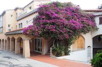 P9230222, Porto Rotondo