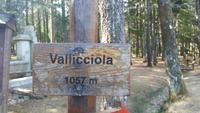 Vallicciola / Monte Limbara