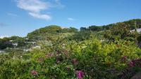 Insel Capri, Blick zur Vila Jovis