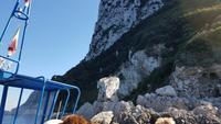 Insel Capri, Loreley von Capri (Suchbild)